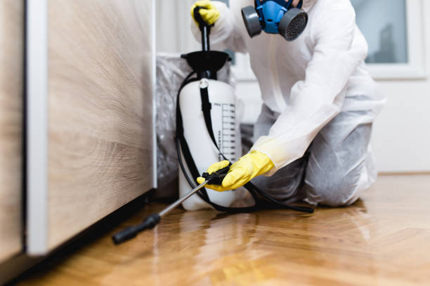 Best Affordable Pest Control Services  in Reedspt, OR