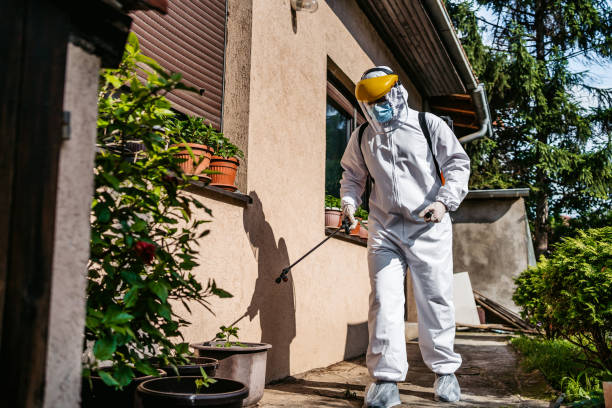 Best Wildlife Control Services  in Reedspt, OR