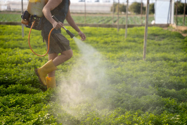 Best Pest Removal Services  in Reedspt, OR