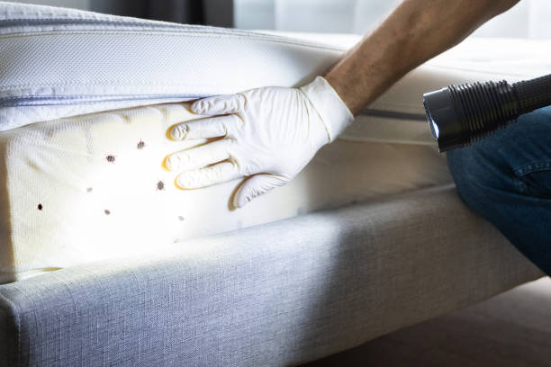 Best Flea Control Services  in Reedspt, OR