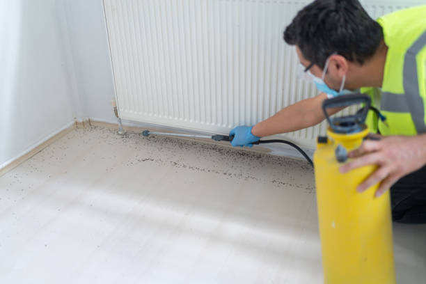 Best Flea Control Services  in Reedspt, OR