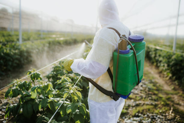Best Spider Control Near Me  in Reedspt, OR